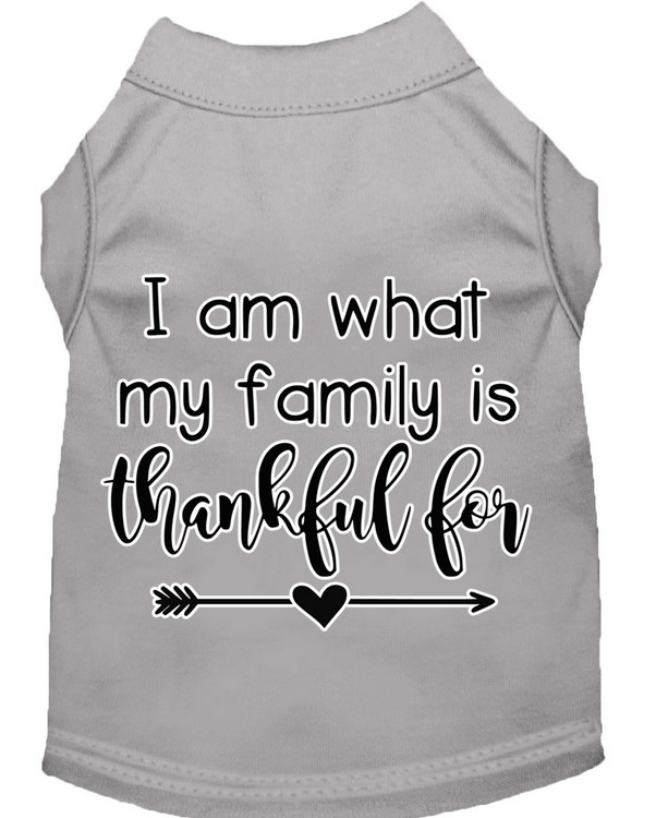 I Am What My Family is Thankful For Screen Print Dog Shirt Grey XXL